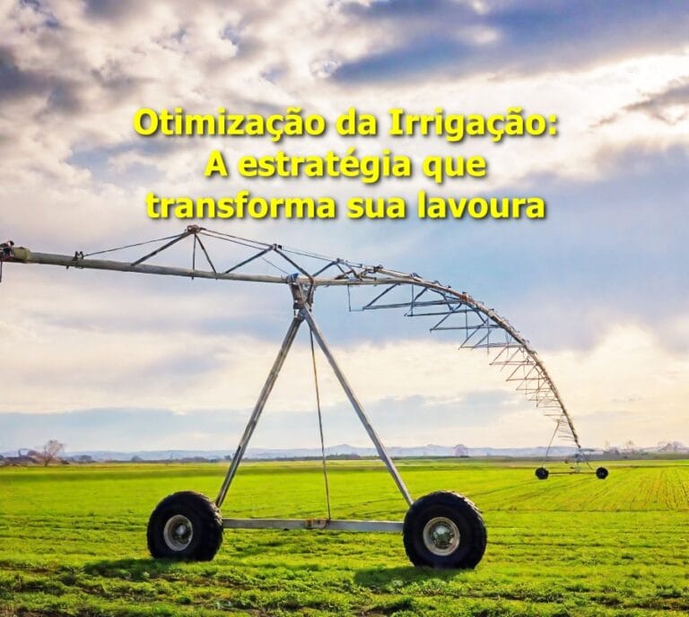 Como otimizar a irrigação
