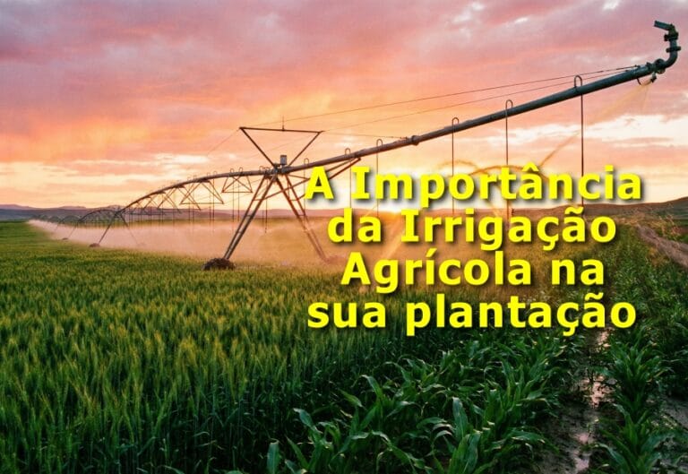 Irrigação agrícola
