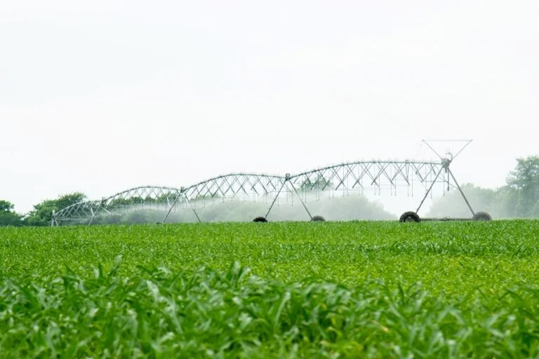 Irrigação pivo central