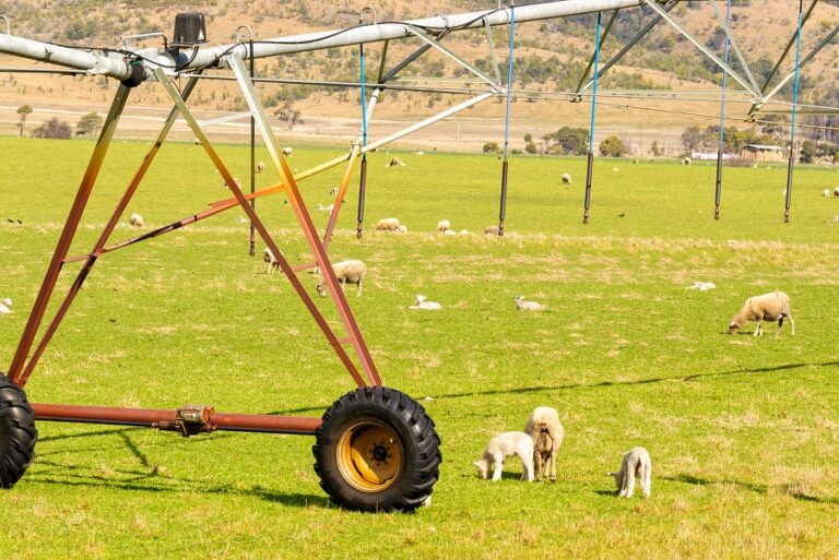 Implementação de sistemas de irrigação para pecuária