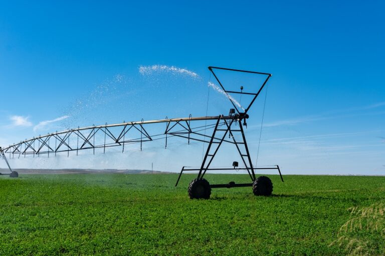 Produção e estratégias eficientes de Irrigação Agrícola