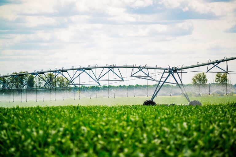 Agricultura Irrigada