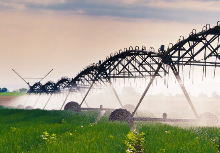 Irrigação por Aspersão