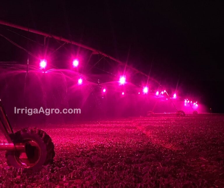Irrigação de Luz