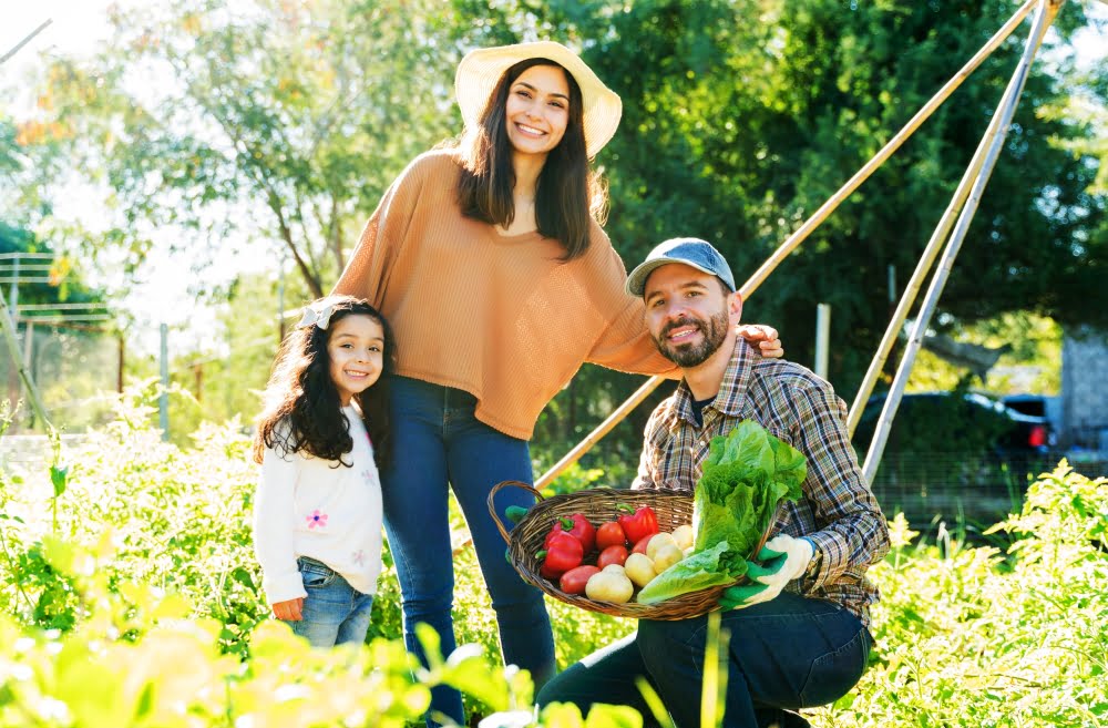 Importância da Agricultura Familiar para a segurança alimentar