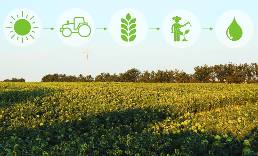 A Importância da Agricultura de Precisão na produtividade agrícola