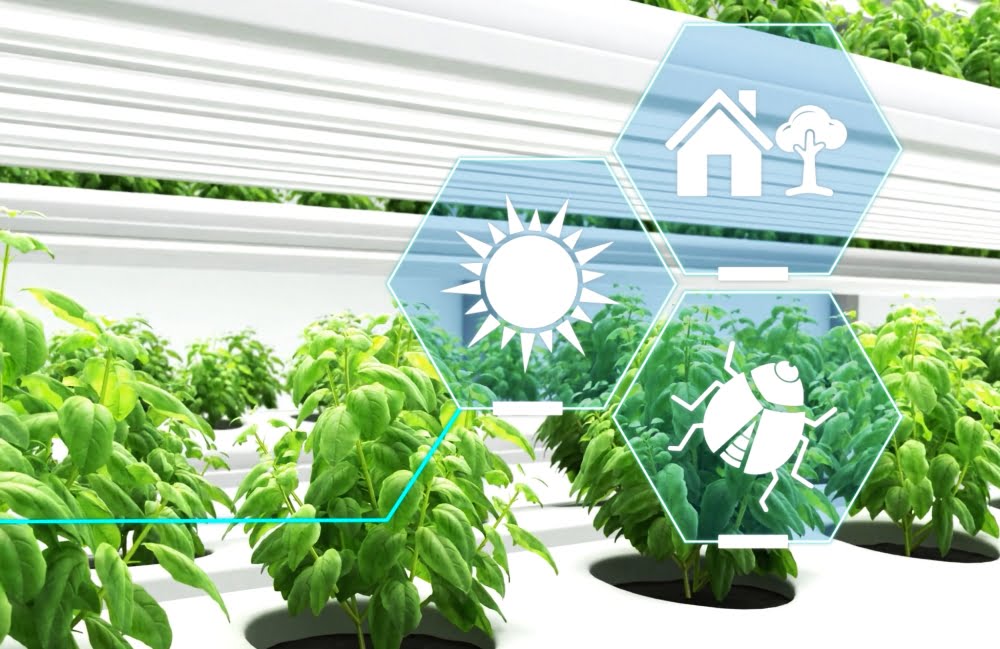 A Importância da Agricultura de precisão na maximização da produtividade agrícola