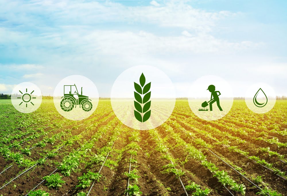 Agricultura de precisão