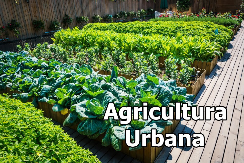 Agricultura Urbana