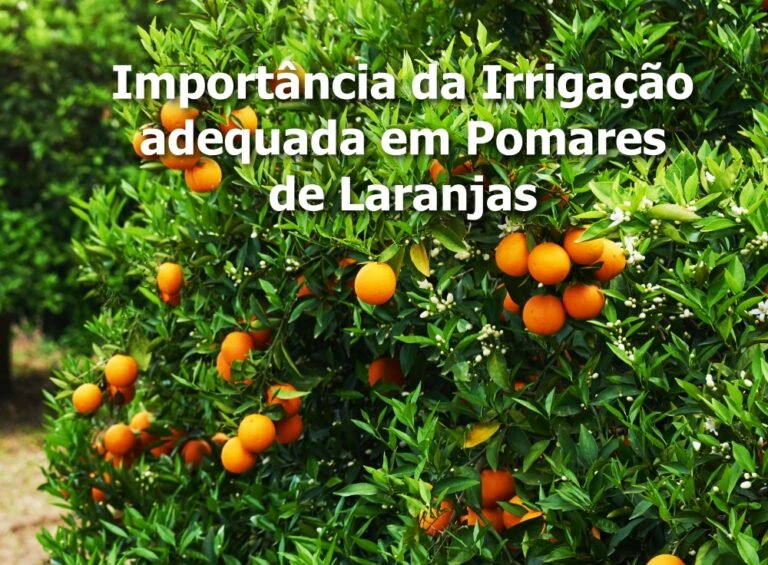 Sistemas de Irrigação para Pomares de Laranjas