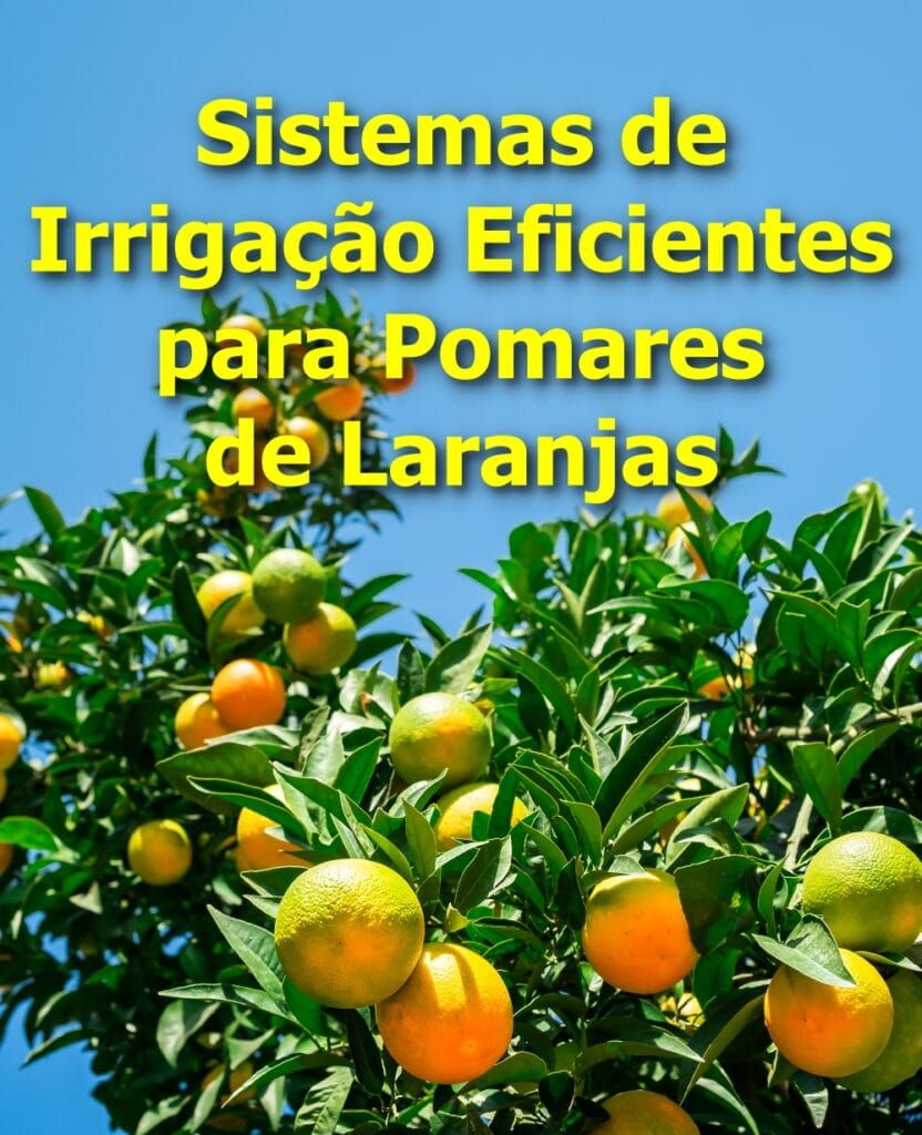 Sistemas de Irrigação eficientes para pomares de laranjas