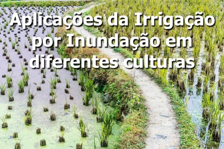 Aplicações da Irrigação por Inundação em diferentes culturas