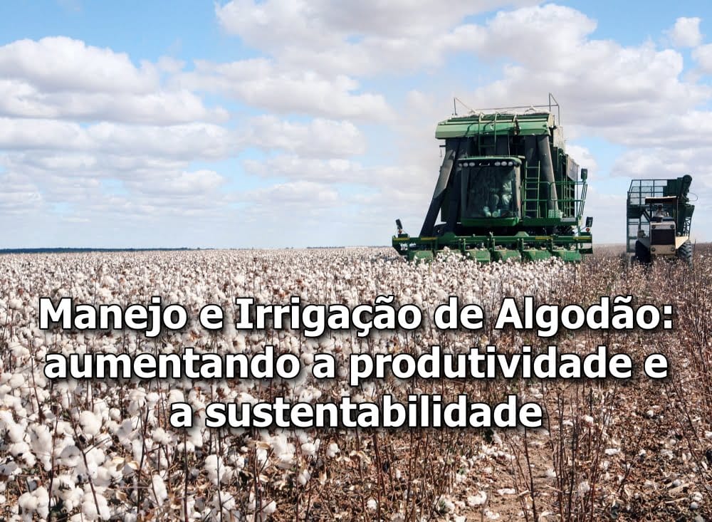 Manejo e Irrigação de Algodão: aumentando a produtividade e a sustentabilidade