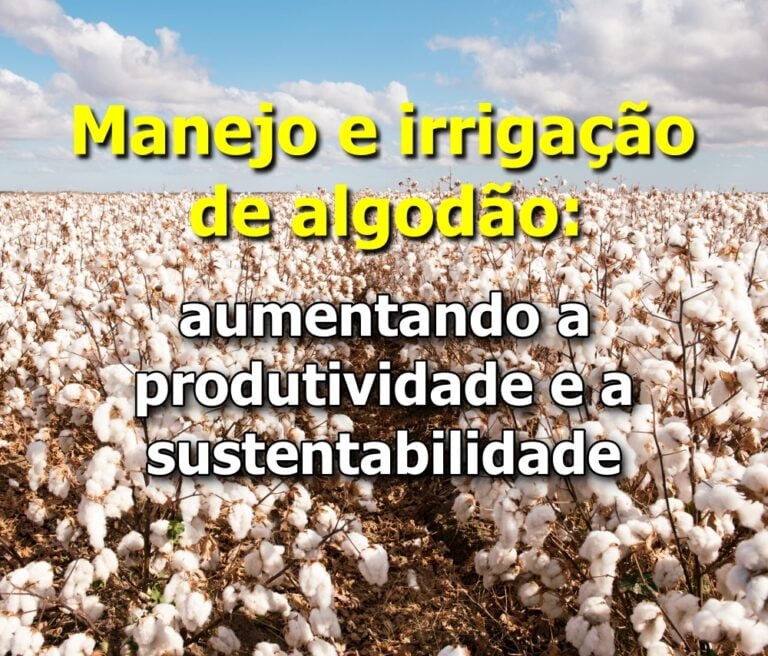 Manejo e Irrigação de Algodão: aumentando a produtividade e a sustentabilidade