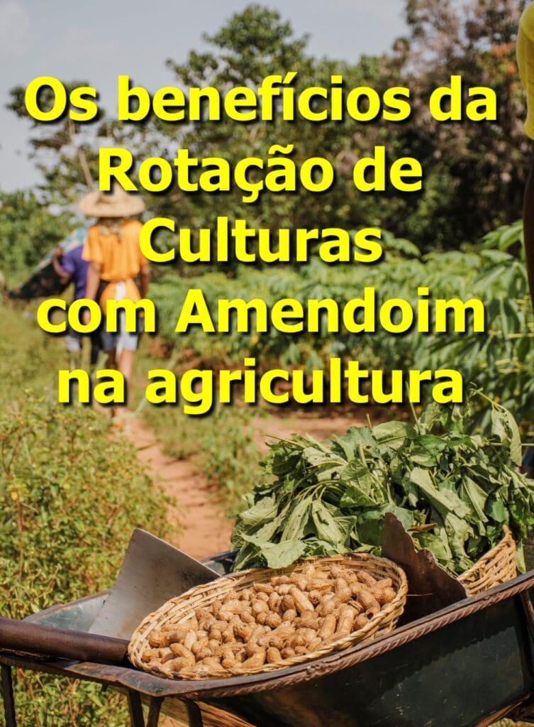 Rotação de Culturas com Amendoim na agricultura