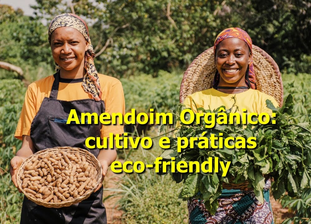 Amendoim Orgânico: cultivo e práticas eco-friendly