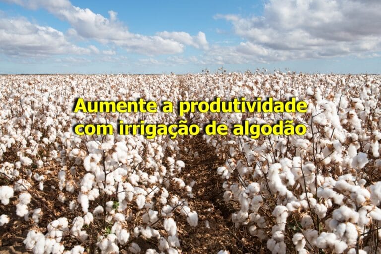 Irrigação de algodão