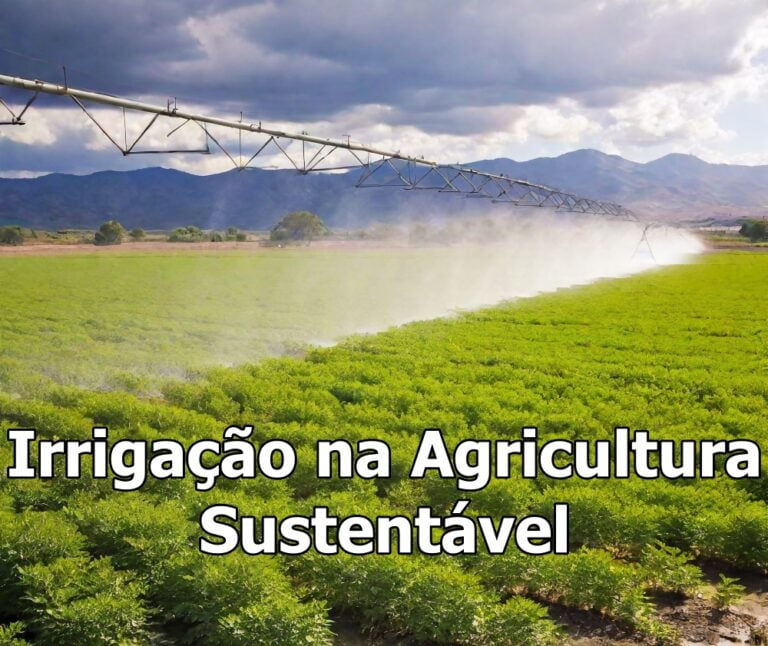 irrigação na agricultura sustentável