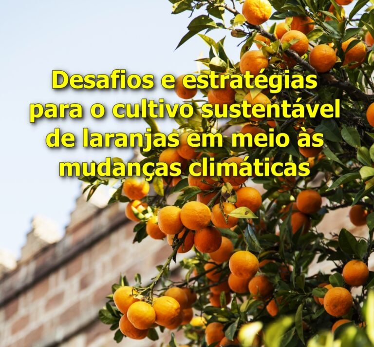 Aspectos climáticos e ambientais no Plantio de Laranjas