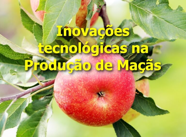 Inovações tecnológicas na Produção de Maçãs