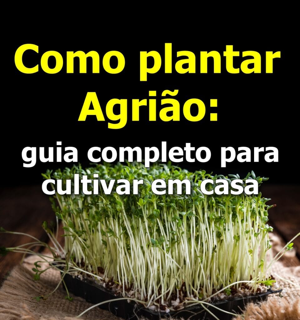 Como plantar Agrião