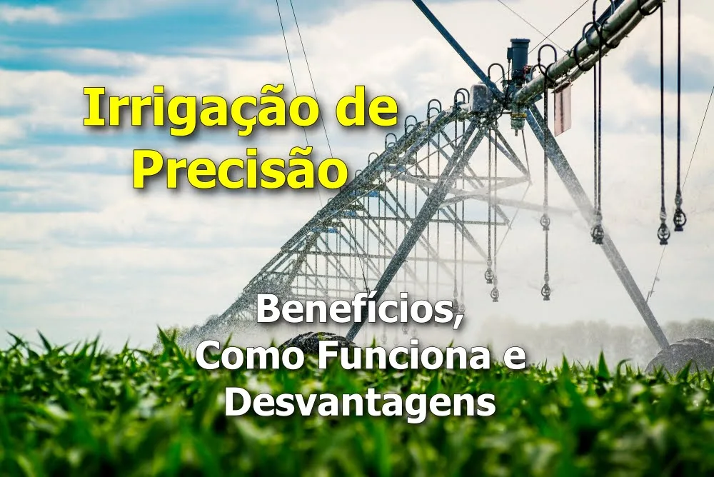 Irrigação de Precisão