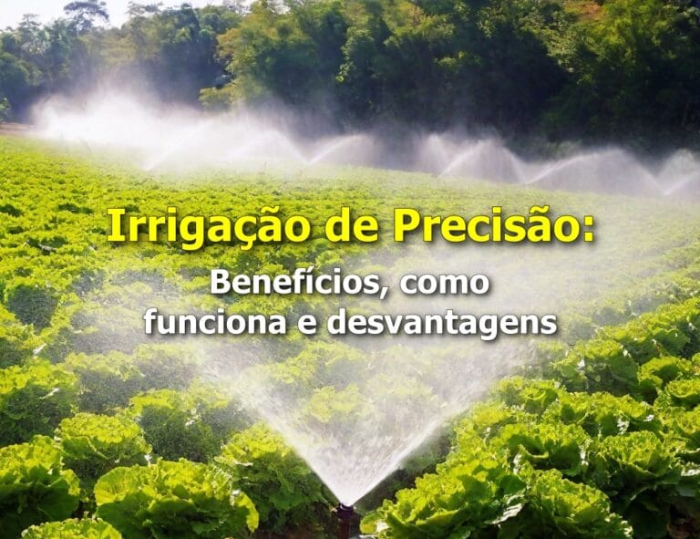Irrigação de Precisão: benefícios, como funciona e desvantagens