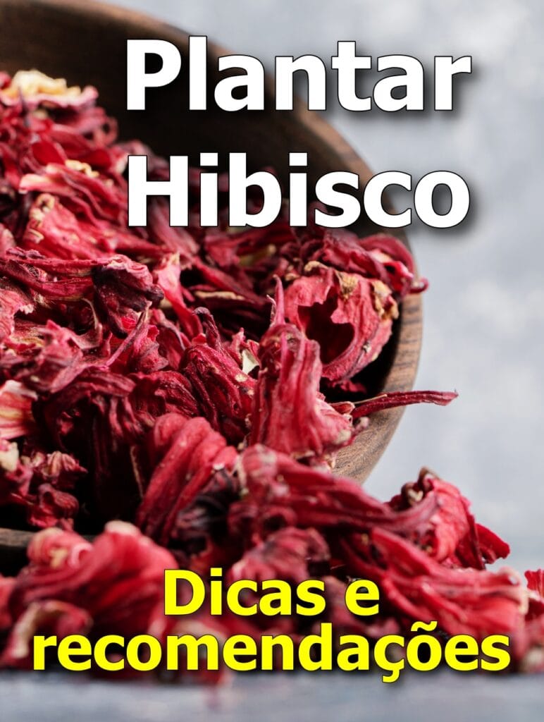 Plantar Hibisco