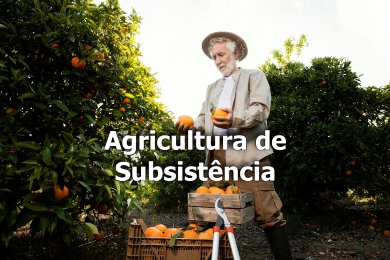 Agricultura de Subsistência