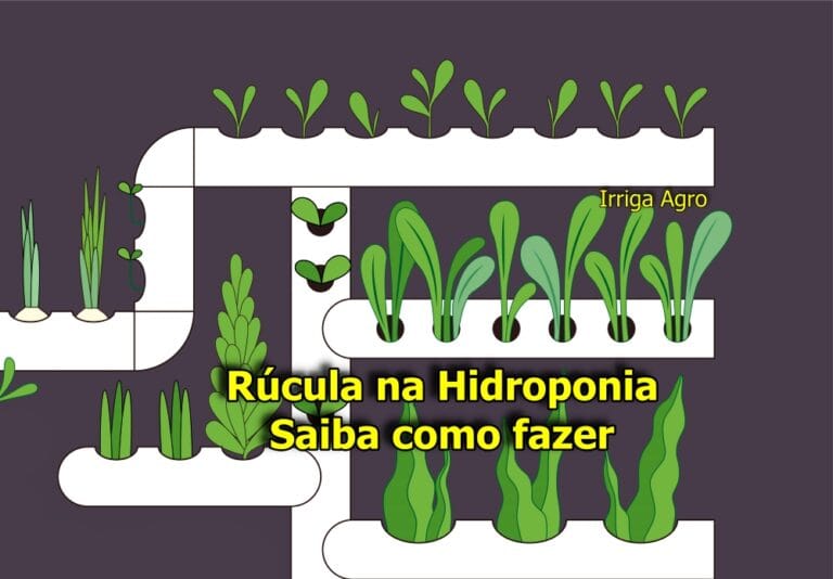 Como Plantar Rúcula Hidropônica