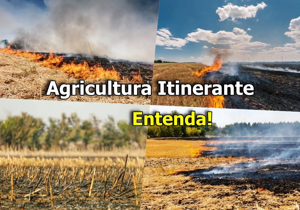 Agricultura Itinerante: impactos e características