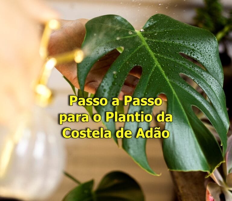 Como plantar costela de Adão passo a passo