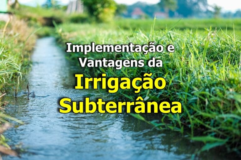 Irrigação Subterrânea