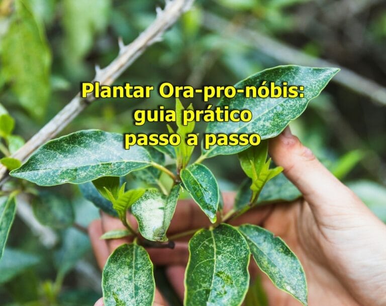Como plantar ora pro nóbis