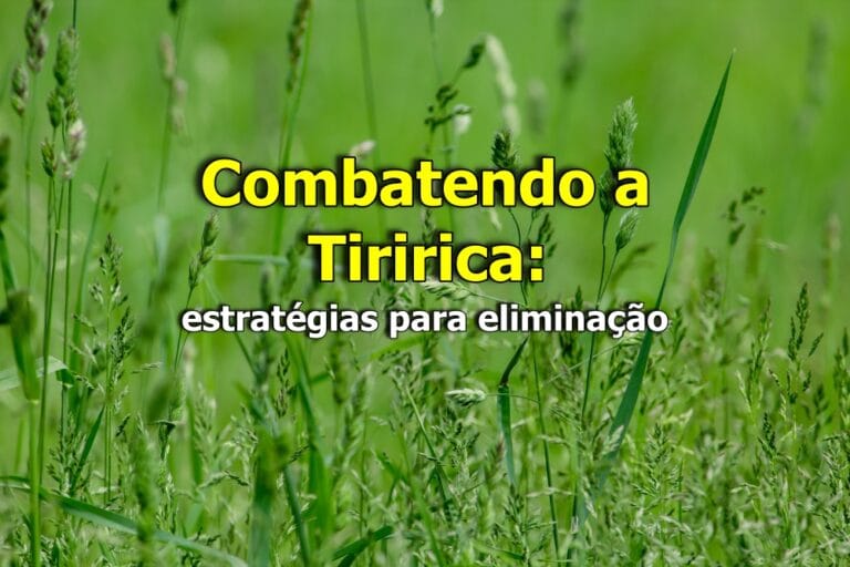 Como Controlar a Tiririca