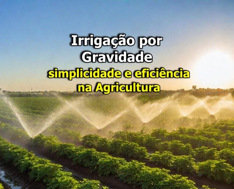 Irrigação por Gravidade: simplicidade e eficiência na agricultura
