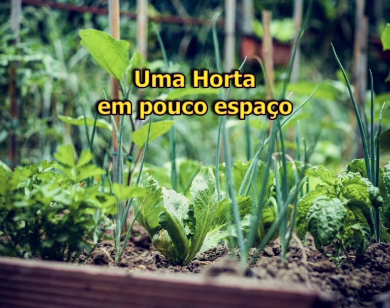 Transforme um pedaço de terra em uma fonte de alimentos