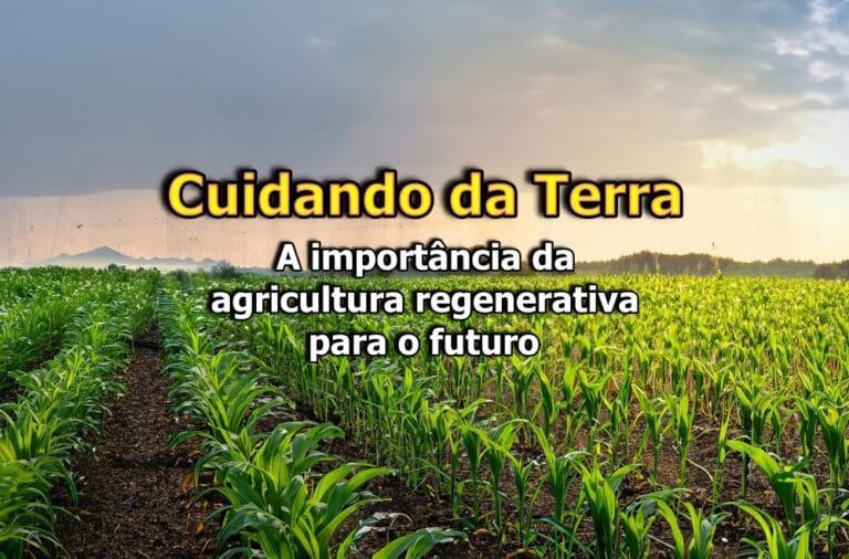 Benefícios da Agricultura Regenerativa
