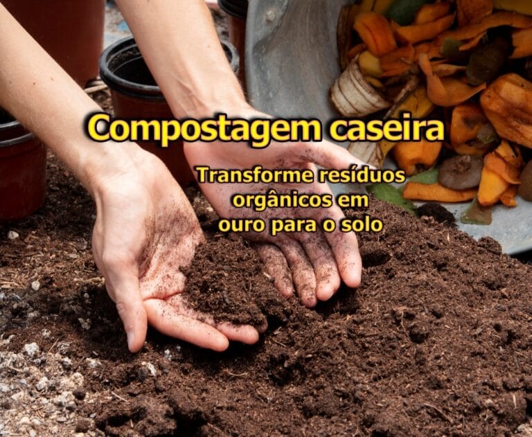Passo a passo para compostagem caseira em propriedades pequenas