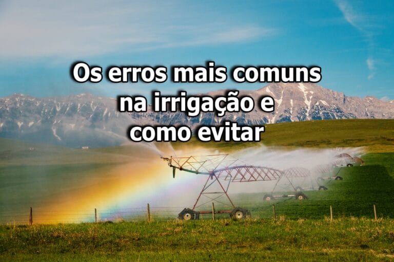 Os erros mais comuns na irrigação e como evitar