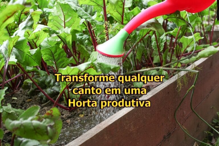 horta em pequenos espaços