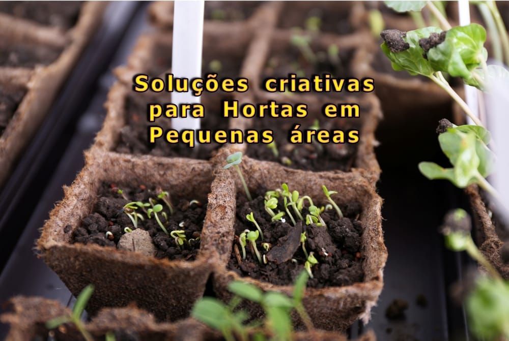 horta em pequenos espaços