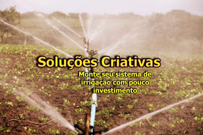 Sistemas de Irrigação de baixo custo para pequenas propriedades