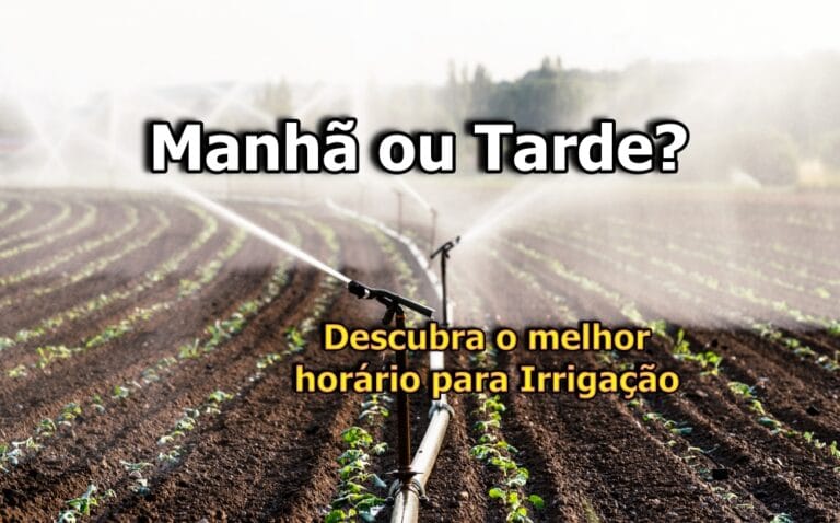 Melhor horário para irrigar