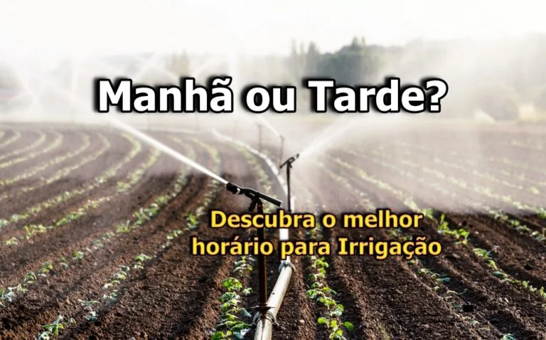 Melhor horário para irrigar