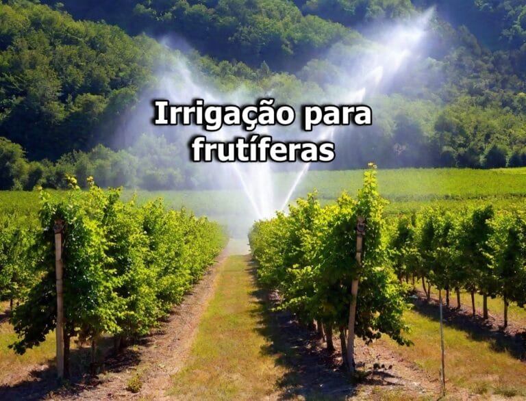 Irrigação para frutíferas