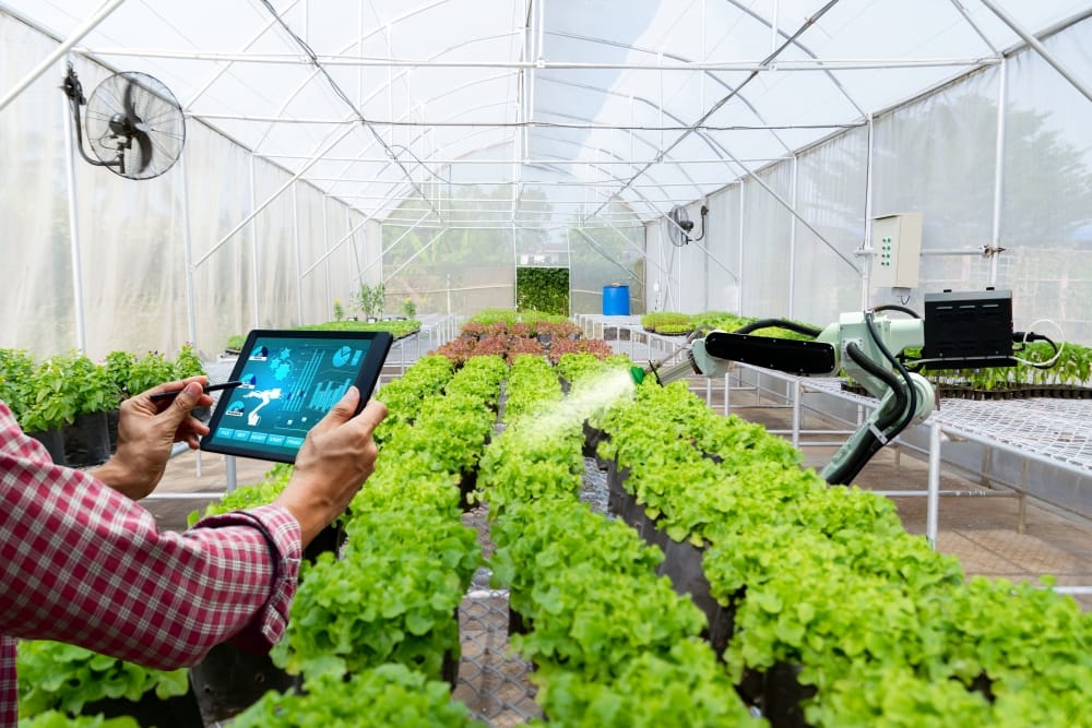 Robótica na Agricultura: o que é, como funciona e por que está revolucionando o campo