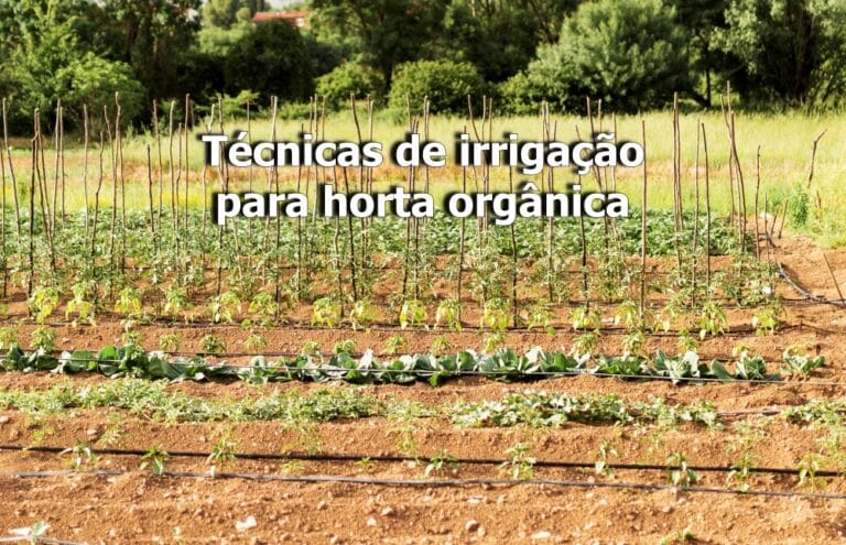 Técnicas de irrigação para horta orgânica