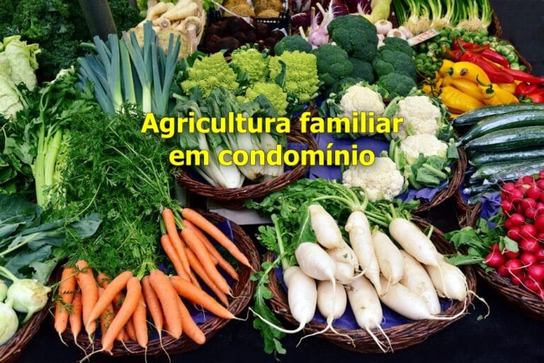 agricultura familiar em condomínio