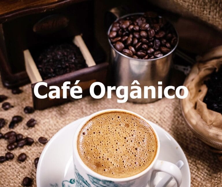 Como plantar Café Orgânico